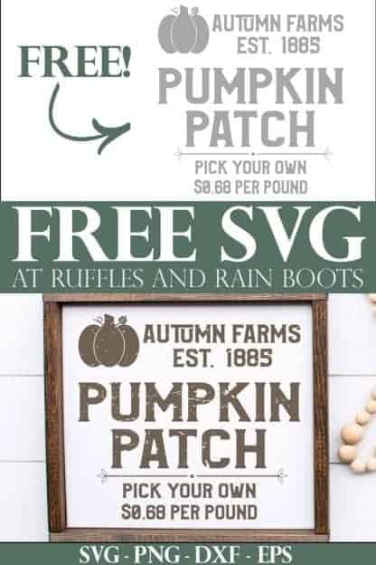 vintage farmhouse square pumpkin patch svg with text which reads free svg at ruffles and rain boots