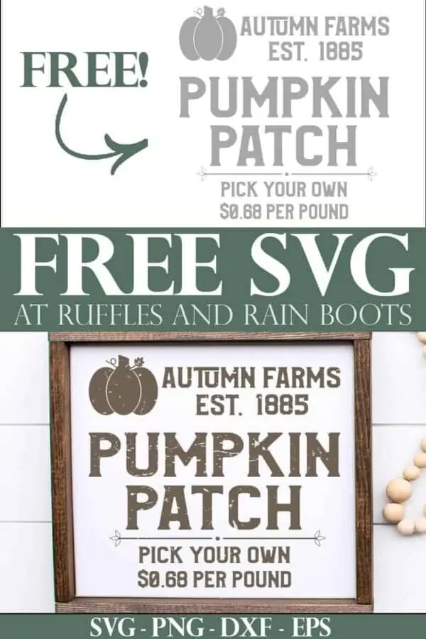 vintage farmhouse square pumpkin patch svg with text which reads free svg at ruffles and rain boots