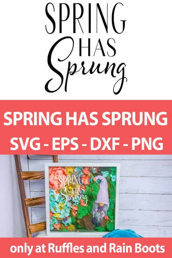 photo collage of cricut or silhouette cut file set Spring Has Sprung with text which reads spring has sprung svg eps dxf png