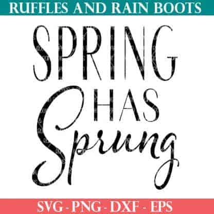Spring Has Sprung cut file for cricut or silhouette
