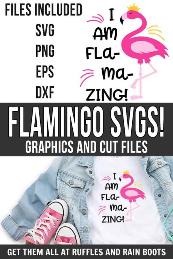 photo collage of I am flamazing flamingo svg clipart and cut files for cricut silhouette with text which reads flamingo svgs! graphics and cut files