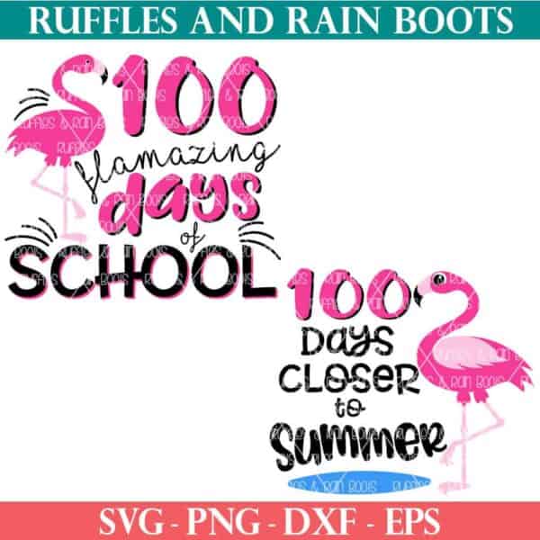 flamingo school svg bundle 100 days of school