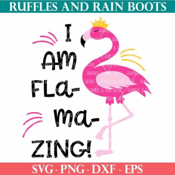 i am flamazing flamingo SVG for Cricut Silhouette