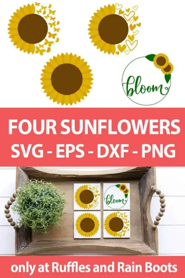 photo collage of Sunflower SVG bundle for cricut or silhouette with text which reads four sunflowers svg eps dxf png
