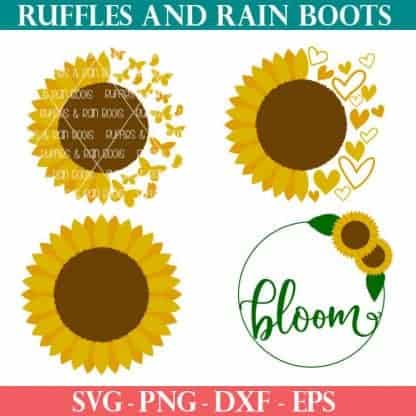 four Sunflower SVGs For sublimation summer crafts