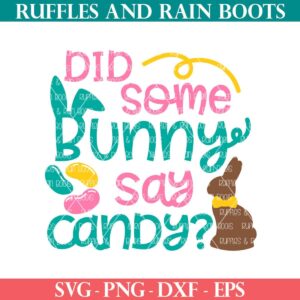 did some bunny say candy svg for easter