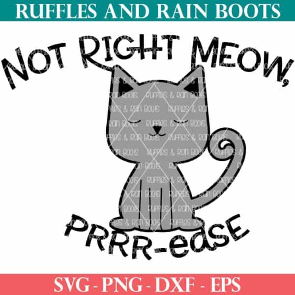 not right meow purrrase cat svg for do not disturb sign