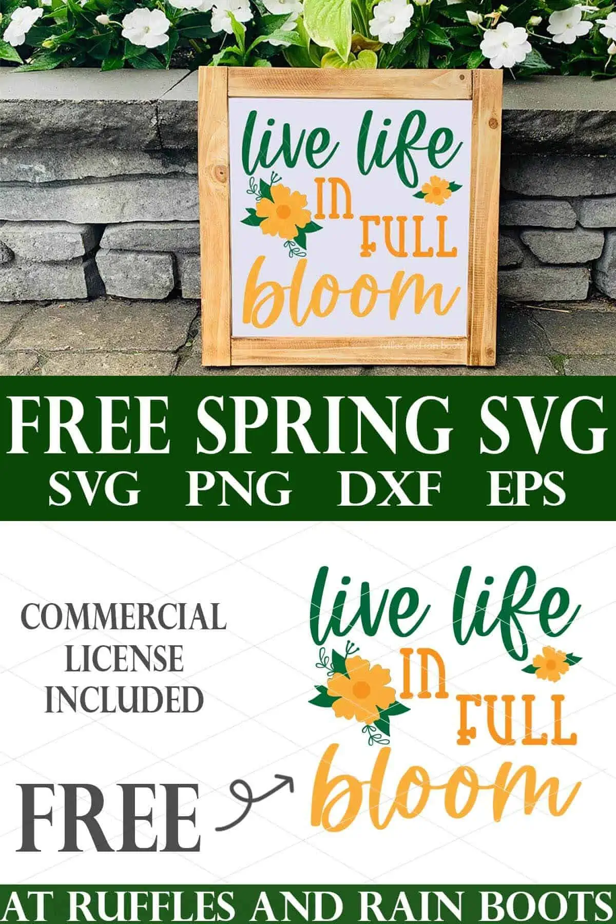 Live Life in Full Bloom Stickers Graphic by SVG Print design · Creative  Fabrica