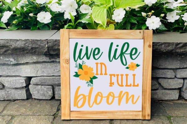 Close up image of a light wood and white frame with live life in full bloom svg done in green and orange vinyl with hand drawn flower svg accents placed in front of a low garden wall with white flowers.
