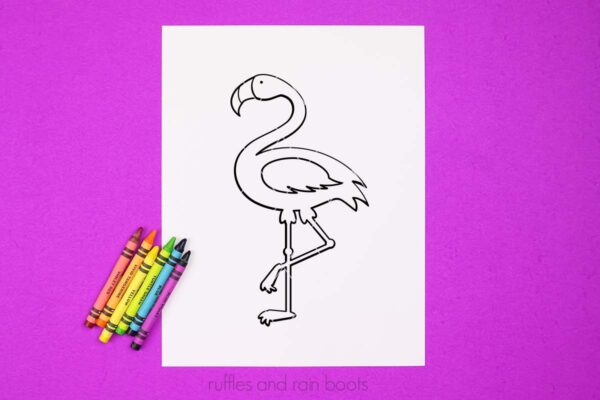 Horizontal image of a flamingo coloring page and crayons on bright pink background made with the free flamingo SVG bundle.